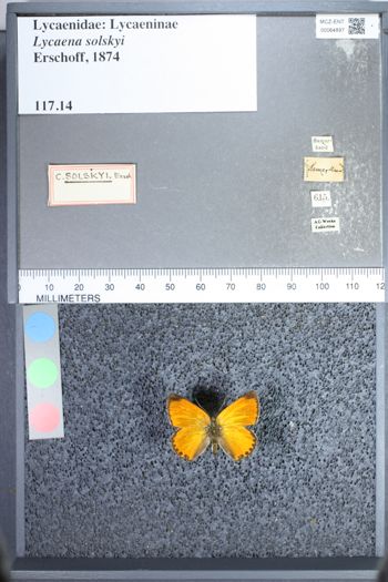 Media type: image;   Entomology 64897